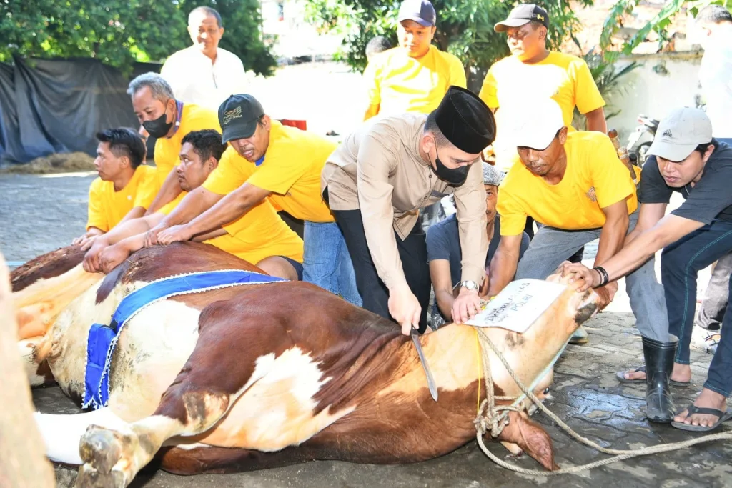Korlantas Polri Memaknai Iduladha dengan Kurban 60 Sapi dan 33 Kambing