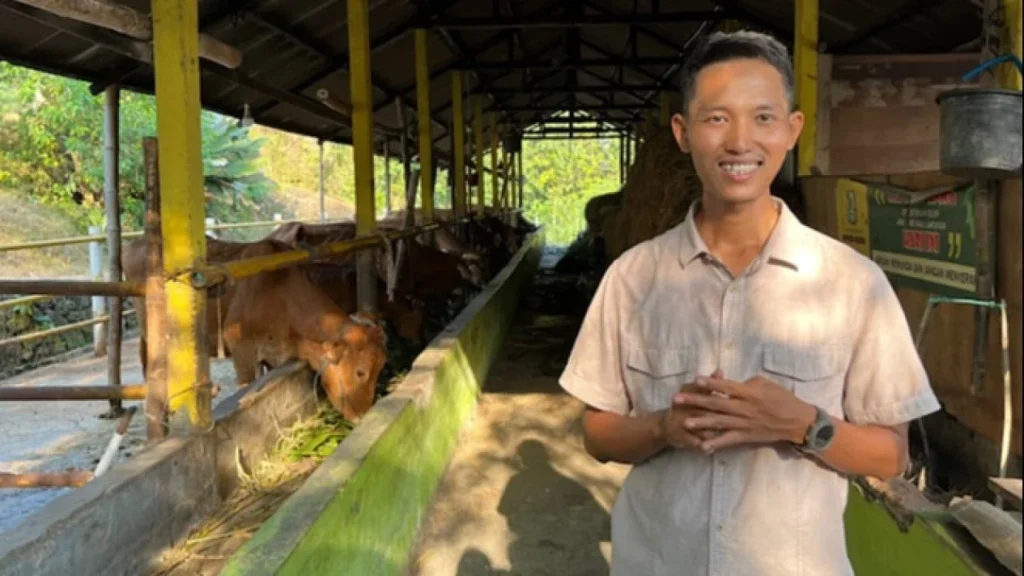 Kotoran Sapi Jadi Cuan, Koperasi di Lamongan Raup Omzet Puluhan Juta per Bulan