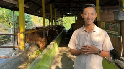 Kotoran Sapi Jadi Cuan, Koperasi di Lamongan Raup Omzet Puluhan Juta per Bulan