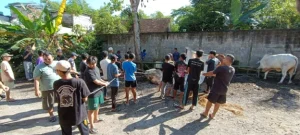 LDII Mendorong Pemerataan Kurban dengan Sistem Distribusi Berbasis Komunitas