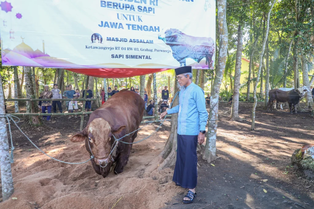 Legislator Gerindra Salurkan 88 Sapi Kurban untuk Dukung Peternak Lokal