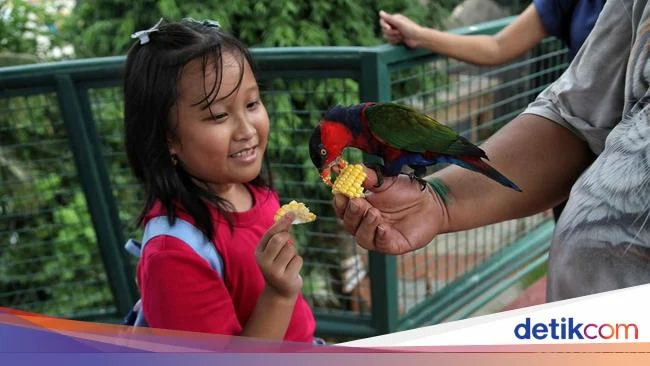 Libur Panjang Mei 2026, Ancol Sajikan Edukasi Satwa untuk Anak