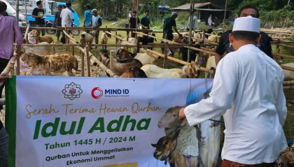 LPDB Koperasi Berbagi Kebahagiaan Lewat Penyaluran Hewan Kurban pada Hari Iduladha
