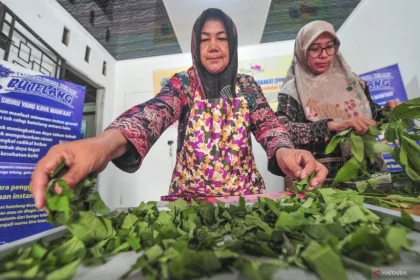 Majukan Herbal RI: Dari Warisan Alam ke Standar Farmasi Dunia