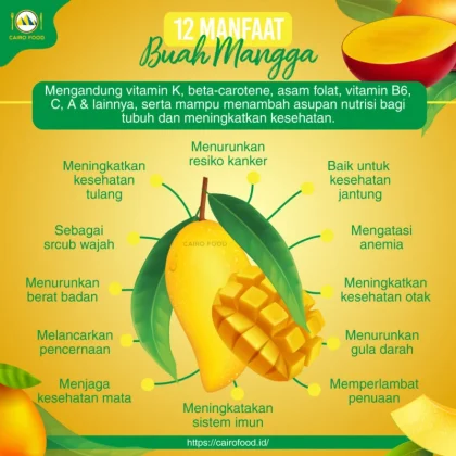 Makan Mangga Setiap Hari, 4 Manfaatnya Bagi Kesehatan