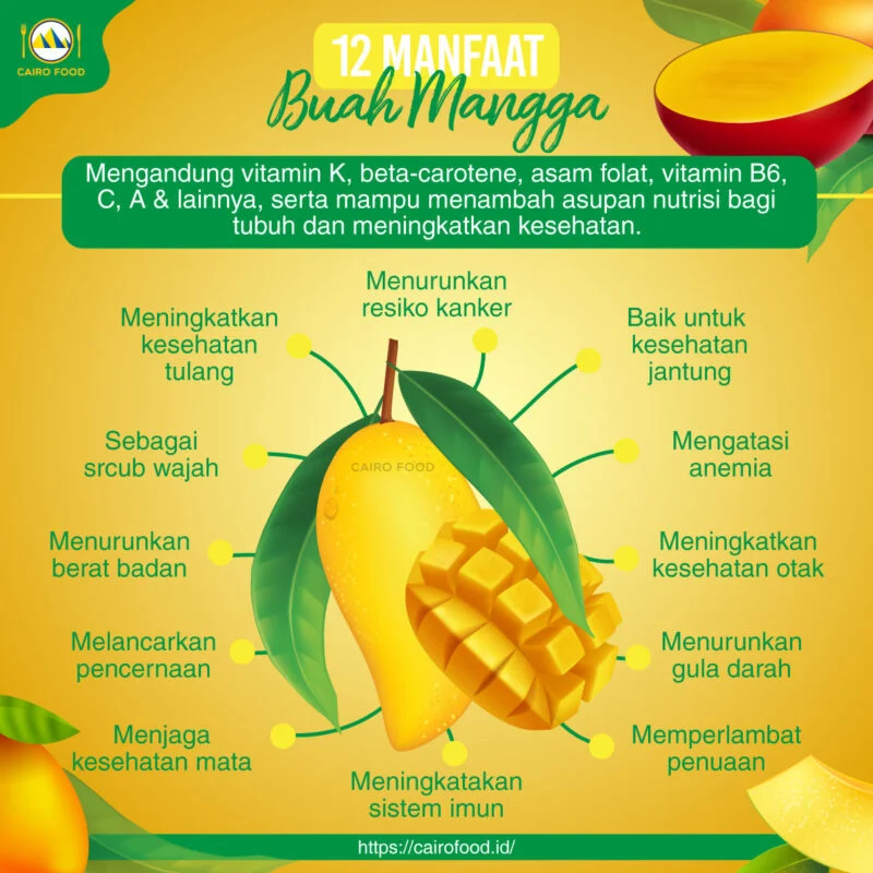 Makan Mangga Setiap Hari, 4 Manfaatnya Bagi Kesehatan