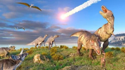 Makhluk Mungil Bertahan dari Hantaman Asteroid 66 Juta Tahun Lalu: Misteri Evolusi yang Terungkap