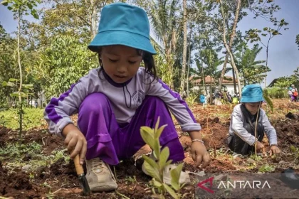 Membangun Fondasi Anak Sejak Dini: Lingkungan dan Relasi Lebih Penting dari Sekadar Stimulasi