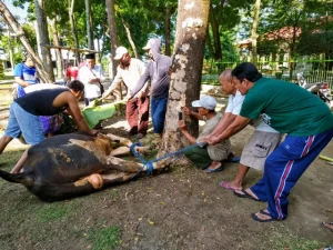 Memugar Makna Pengorbanan