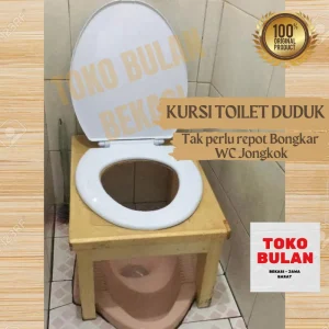 Mengapa Orang Barat Lebih Memilih Toilet Duduk?