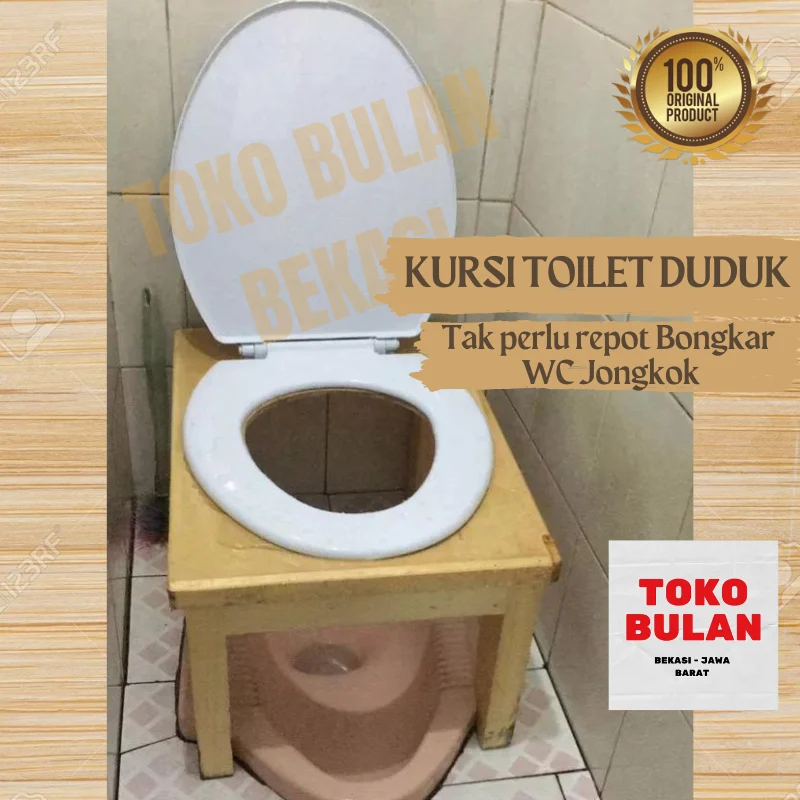 Mengapa Orang Barat Lebih Memilih Toilet Duduk?