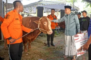 Menteri Agama Nasaruddin Umar: Kurban Sapi Prabowo Harus Dapatkan Bantuan