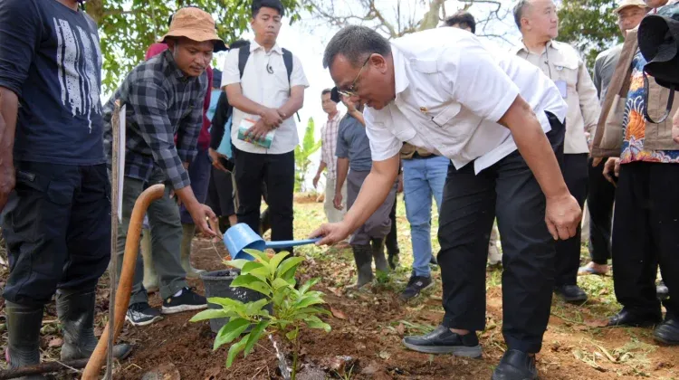 Menteri LH Tanam 1.000 Pohon di Cianjur, Hadapi Tantangan Perubahan Iklim