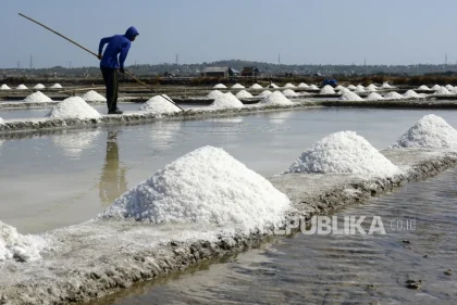 Nindya Karya Bangun Tambak Garam di Rote Ndao untuk Kurangi Ketergantungan Impor