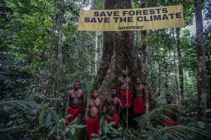 Nyanyian Paling Murni di Dunia Ditemukan di Tengah Hutan Papua