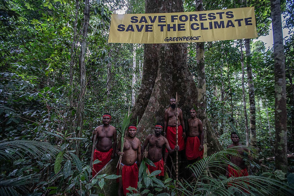 Nyanyian Paling Murni di Dunia Ditemukan di Tengah Hutan Papua