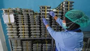 Operasional SPPG Rembang Tertimpa Isu Miring, Apa Penyebabnya?