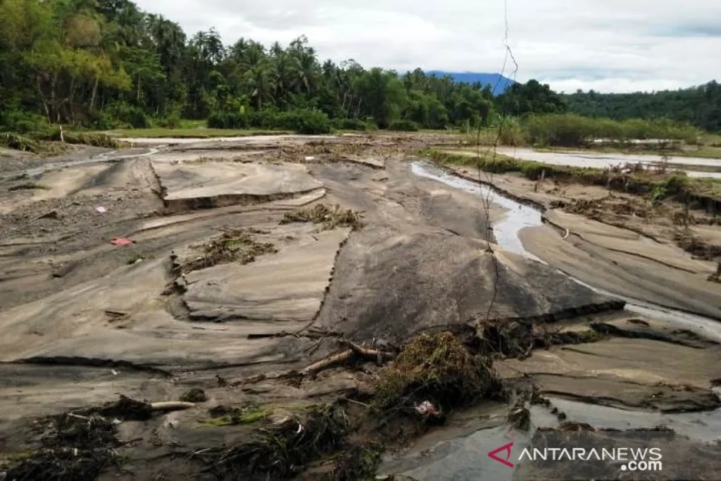 Padang Pariaman Tuntaskan Perbaikan 446 Hektare Sawah Rusak