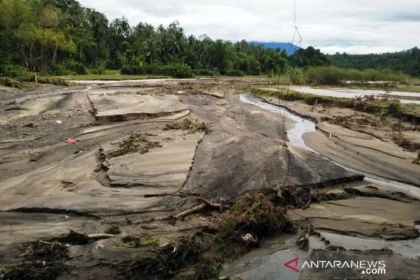 Padang Pariaman Tuntaskan Perbaikan 446 Hektare Sawah Rusak
