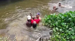 Panitia Kurban Tewas Tenggelam saat Cuci Jeroan Sapi di Sungai Palembang