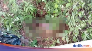 Pembunuhan Tragis Anggi Aulia: Tersangka Dilempar dari Atas Tol Bogor