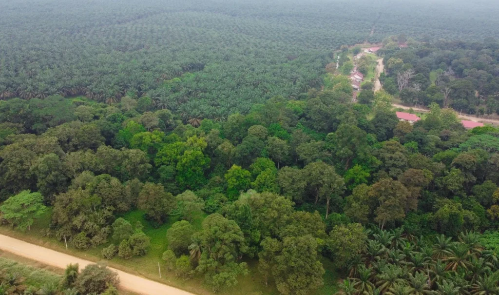 Pemerintah Dukung PTPN III Percepat Hilirisasi Bioetanol untuk Ketahanan Energi Nasional