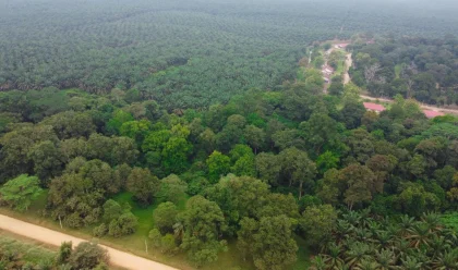 Pemerintah Dukung PTPN III Percepat Hilirisasi Bioetanol untuk Ketahanan Energi Nasional
