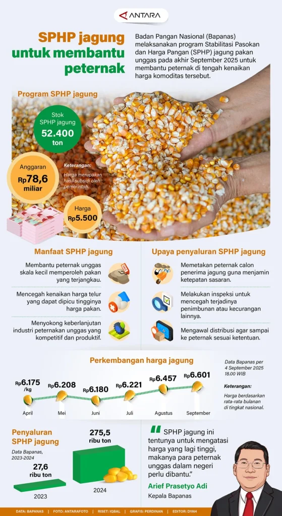 Pemerintah Salurkan SPHP Jagung di Jateng untuk Bantu Peternak Unggas Mandiri