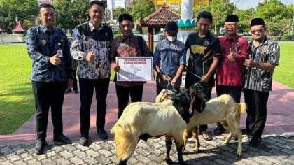 Pemprov DKI Salurkan 210 Sapi dan 10 Kambing Kurban pada Idul Adha 2026