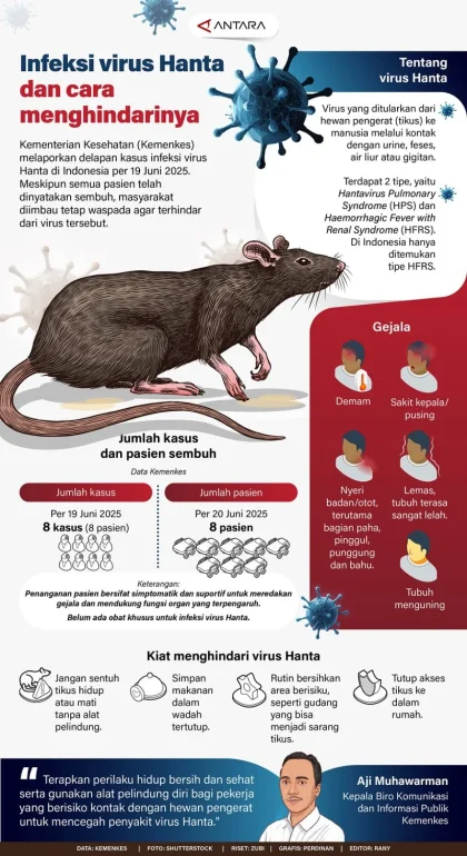 Penjelasan Wamenkes soal Penularan Hantavirus Berbeda dengan COVID-19