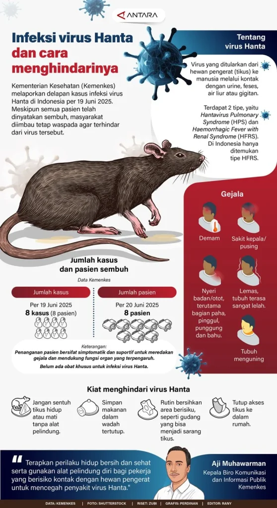 Penjelasan Wamenkes soal Penularan Hantavirus Berbeda dengan COVID-19
