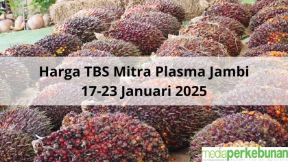 Petani Plasma Tak Terpengaruh Harga TBS Anjlok, Berkat Koperasi yang Adil