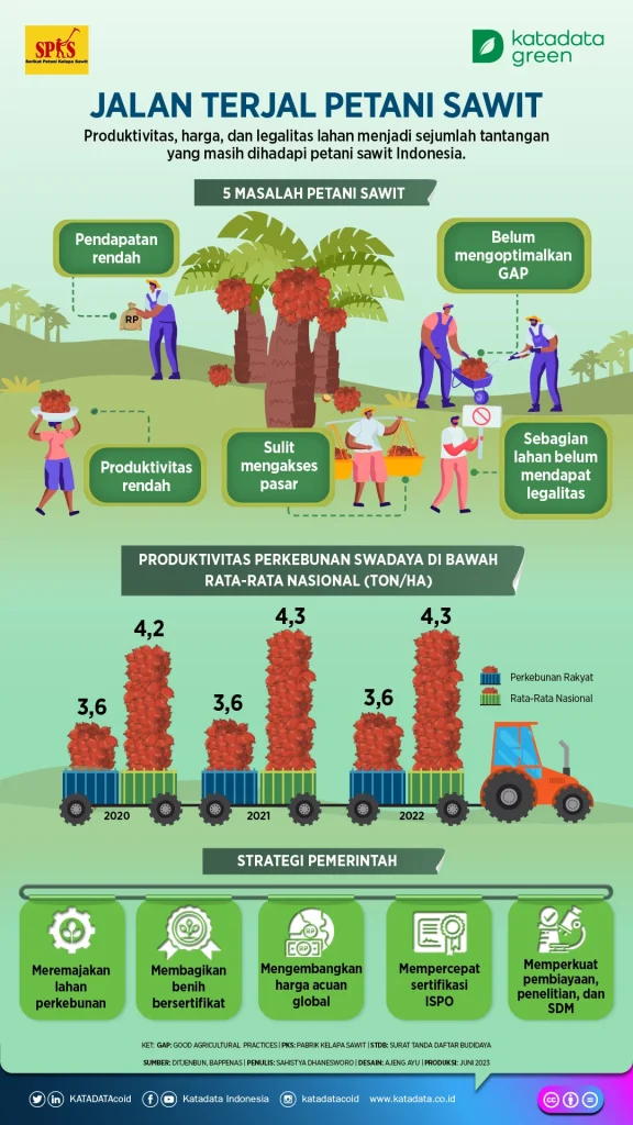 Petani Sawit Minta DSI Jadi Pengawas Saja, Tidak Perlu Menambah Regulasi
