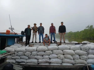 Polda Riau Bongkar Perusakan Mangrove, Ahli Lingkungan: Penebangan Bisa Kurangi ZEE Indonesia