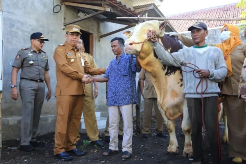 Polemik Bantuan Sapi Kurban Presiden: Jubir Gerindra Klaim Dianggarkan Secara Resmi