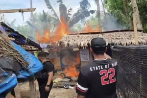 Polisi Hancurkan 31 Lokasi Diduga Sarang Narkoba di Sumatera Utara
