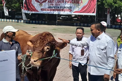 Prabowo Kurban 1.098 Sapi Pakai APBN, MUI: Sesuai Syariat