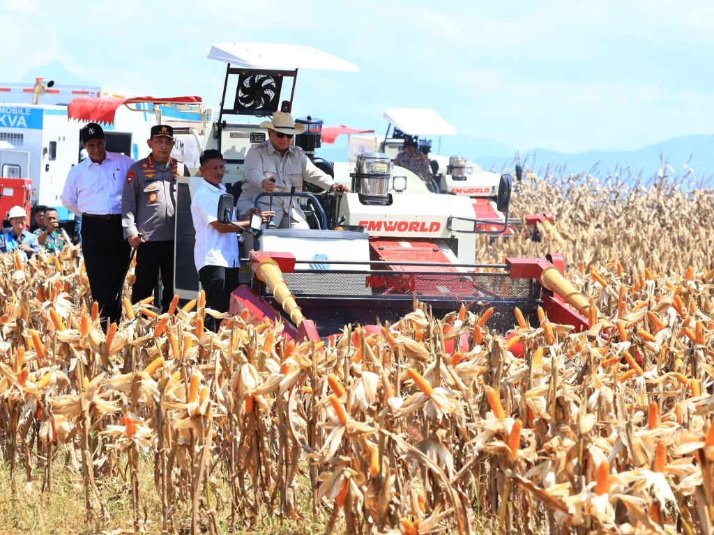 Prabowo Panen Raya Jagung di Tuban, Jawa Timur