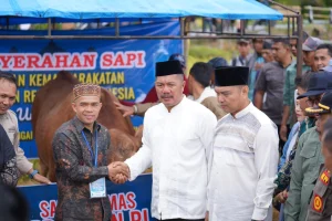 Presiden Tekankan Penyaluran Sapi Kurban Harus Tepat Sasaran