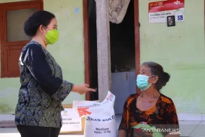 Puan Minta Pemerintah Transparan Soal Hantavirus Agar Masyarakat Tenang