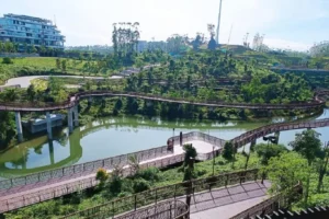 Putusan MK Soal Jakarta Ibu Kota Negara: Proyek IKN Tetap Jalan