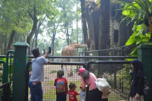Ragunan Jadi Pilihan Wisata Edukatif Keluarga Selama Libur Panjang