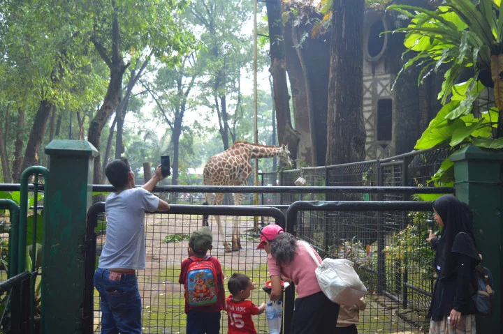 Ragunan Jadi Pilihan Wisata Edukatif Keluarga Selama Libur Panjang