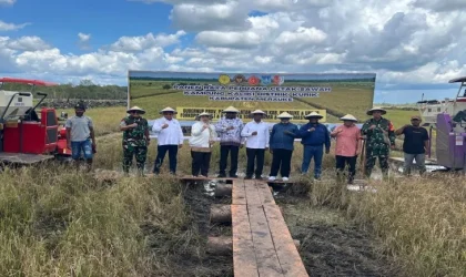 Sawah Rakyat Membawa Harapan Baru bagi Petani di Merauke