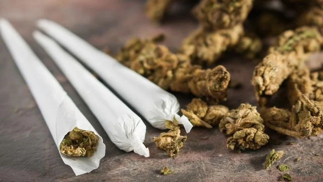 Siswi SMK di Payakumbuh Ketahuan Membawa Ganja ke Sekolah