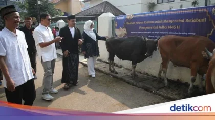 Tebar Keberkahan Idul Adha, BSN Salurkan 245 Hewan Kurban