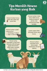 Tips Memilih Hewan Kurban Sehat Jelang Iduladha