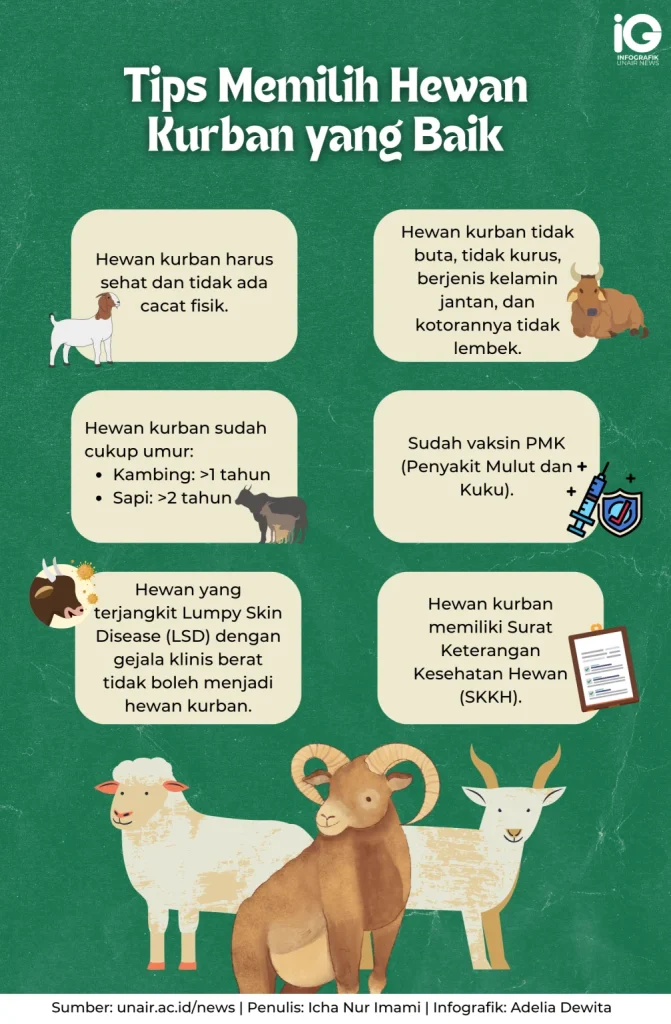 Tips Memilih Hewan Kurban Sehat Jelang Iduladha