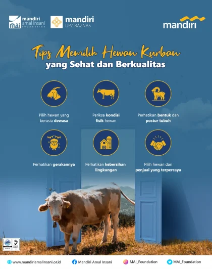 Tips Memilih Hewan Kurban yang Sehat dan Berkualitas