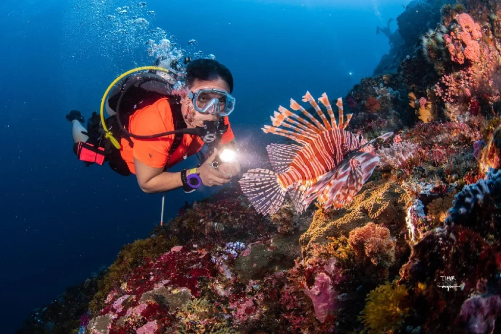 Tragedi Penyelaman di Maldives: Risiko dan Rasa Hormat Kepada Laut